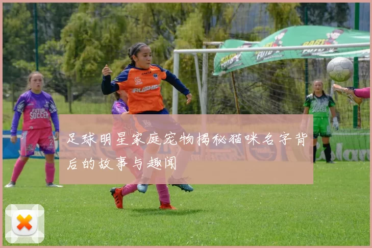 足球明星家庭宠物揭秘猫咪名字背后的故事与趣闻
