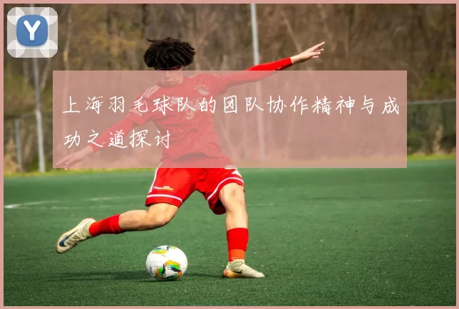 上海羽毛球队的团队协作精神与成功之道探讨