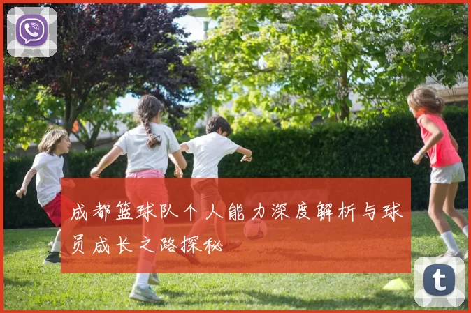 成都篮球队个人能力深度解析与球员成长之路探秘