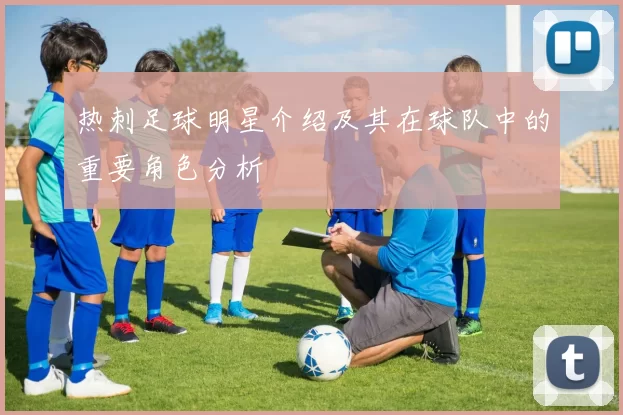 热刺足球明星介绍及其在球队中的重要角色分析