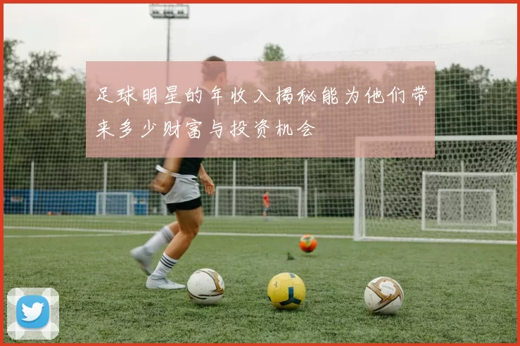 足球明星的年收入揭秘能为他们带来多少财富与投资机会