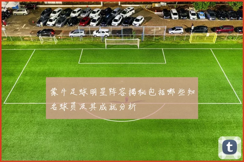 蒙牛足球明星阵容揭秘包括哪些知名球员及其成就分析