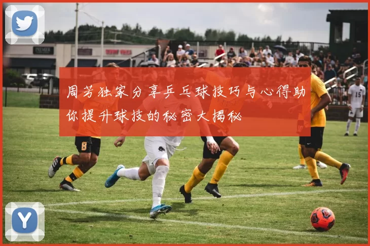 周芳独家分享乒乓球技巧与心得助你提升球技的秘密大揭秘