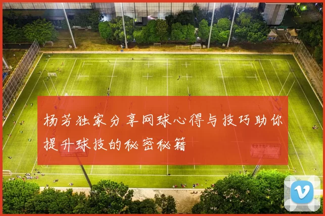 杨芳独家分享网球心得与技巧助你提升球技的秘密秘籍