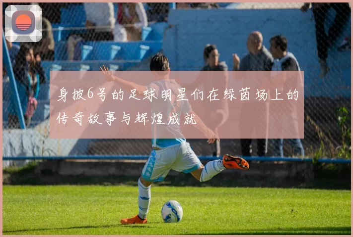身披6号的足球明星们在绿茵场上的传奇故事与辉煌成就